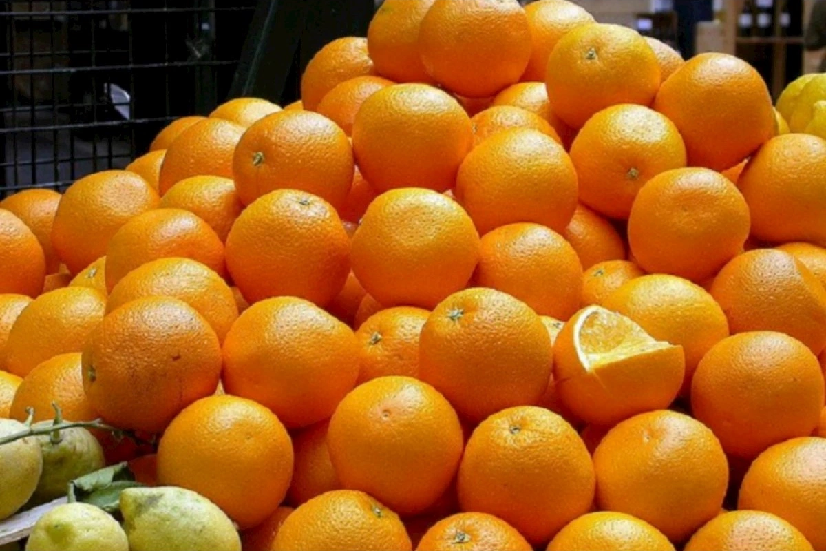 Portağal tələbatı artır, yerli istehsal isə yerində sayır: Niyə idxaldan asılıyıq?