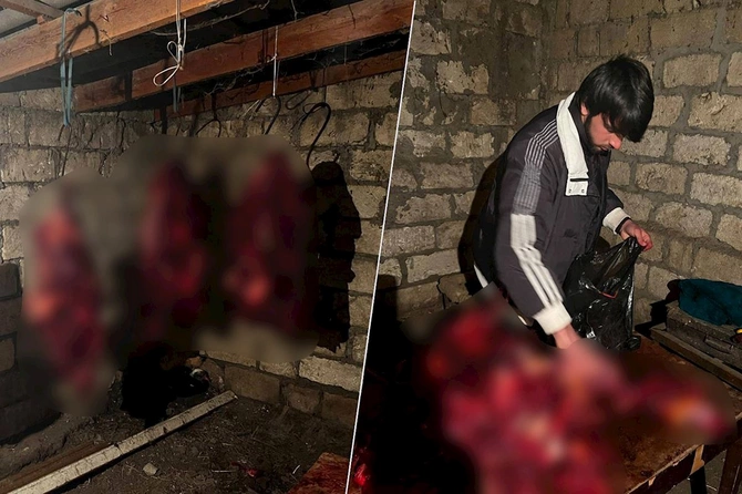 İyrənc fırıldaq üzə çıxdı: 146 kq at ətini mal əti adı ilə bazara buraxmaq istədilər — FOTOLAR İyrənc fırıldaq üzə çıxdı: 146 kq at ətini mal əti adı ilə bazara buraxmaq istədilər — FOTOLAR