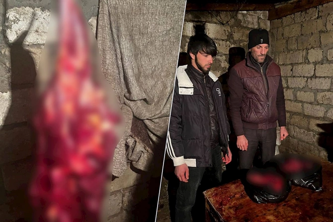 İyrənc fırıldaq üzə çıxdı: 146 kq at ətini mal əti adı ilə bazara buraxmaq istədilər — FOTOLAR İyrənc fırıldaq üzə çıxdı: 146 kq at ətini mal əti adı ilə bazara buraxmaq istədilər — FOTOLAR