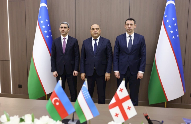 Avrasiya Nəqliyyat Marşrutuna maraq artır: Gürcüstan Beynəlxalq Assosiasiyaya qoşuldu — FOTOLAR