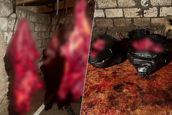 İyrənc fırıldaq üzə çıxdı: 146 kq at ətini mal əti adı ilə bazara buraxmaq istədilər — FOTOLAR İyrənc fırıldaq üzə çıxdı: 146 kq at ətini mal əti adı ilə bazara buraxmaq istədilər — FOTOLAR
