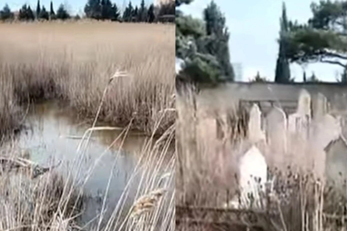 Zabratdakı ürəkağrıdan mənzərə ilə bağlı AÇIQLAMA