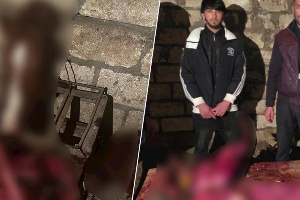 İyrənc fırıldaq üzə çıxdı: 146 kq at ətini mal əti adı ilə bazara buraxmaq istədilər — FOTOLAR