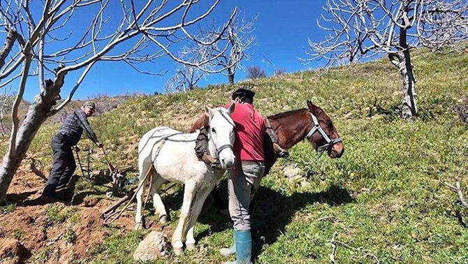 Günlük maaş 308 manatdır — İşçi tapılmır (FOTOLAR)