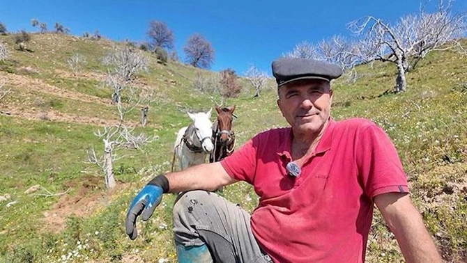Günlük maaş 308 manatdır — İşçi tapılmır (FOTOLAR)