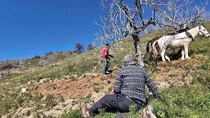 Günlük maaş 308 manatdır — İşçi tapılmır (FOTOLAR)