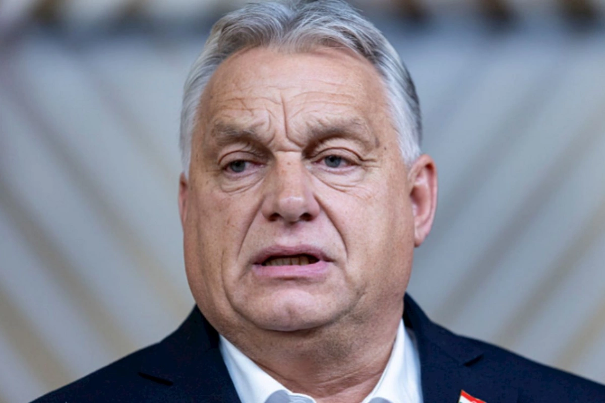 Avropada xaos hökm sürür — Orban