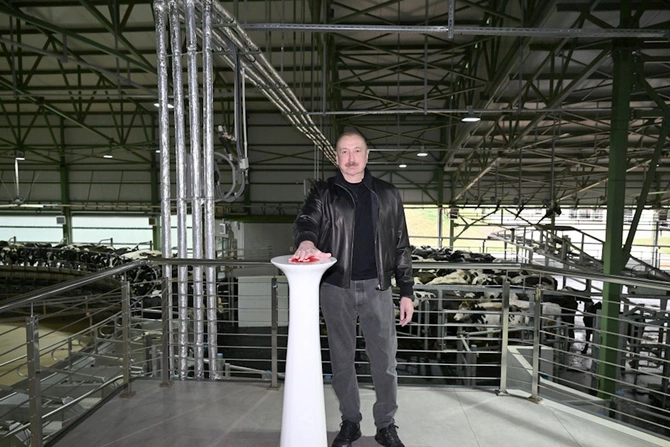 Prezident Şamaxıda Şirvan Aqro heyvandarlıq kompleksinin açılışında iştirak etdi — FOTOLAR