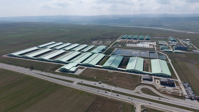 Prezident Şamaxıda Şirvan Aqro heyvandarlıq kompleksinin açılışında iştirak etdi — FOTOLAR