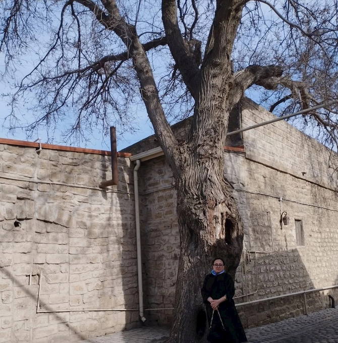 Rəsulzadənin öz əli ilə əkdiyi ağac — FOTO
