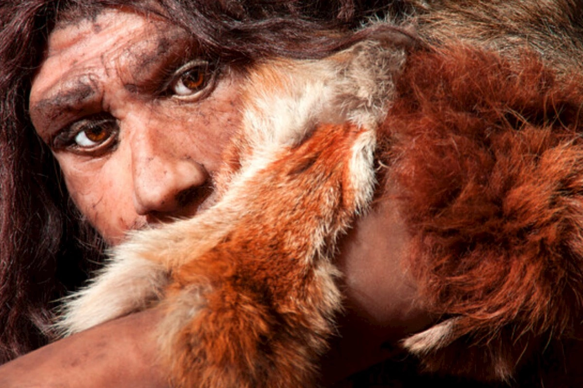 Əcdadlarımızın genetik sirri açıldı: Neandertallar deyilmiş