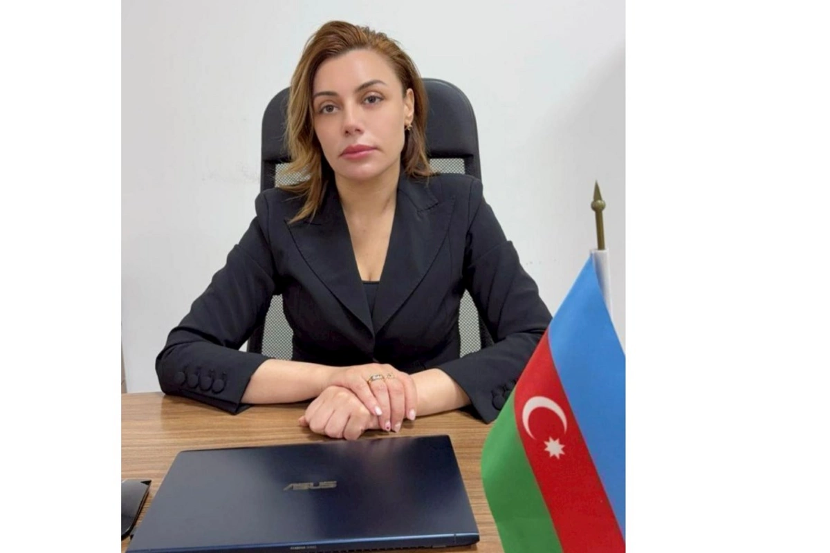 İntensiv yağışların iqtisadi təsiri — Bizneslər üçün dərslər