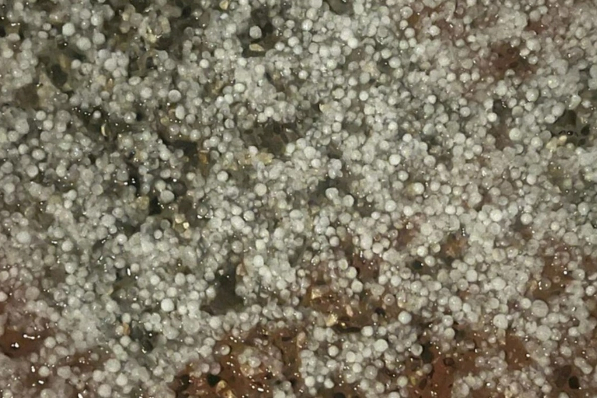 Bakıya yağan dolunun səbəbi açıqlandı