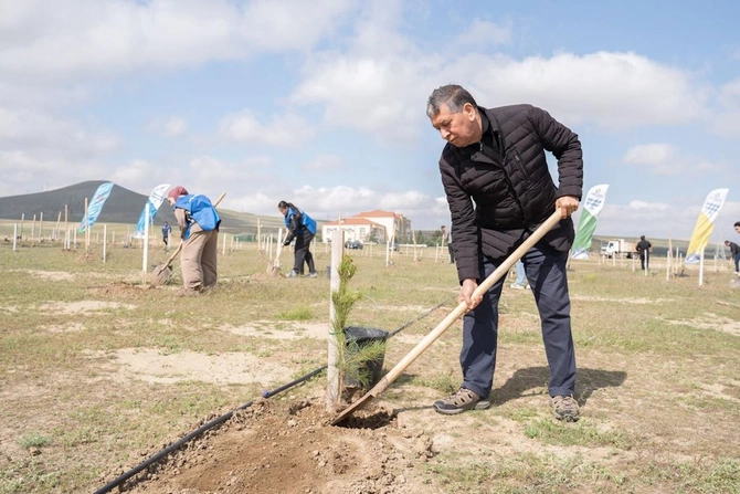 Nazir və palata sədri ağacəkmə aksiyasında iştirak etdi — FOTOLAR