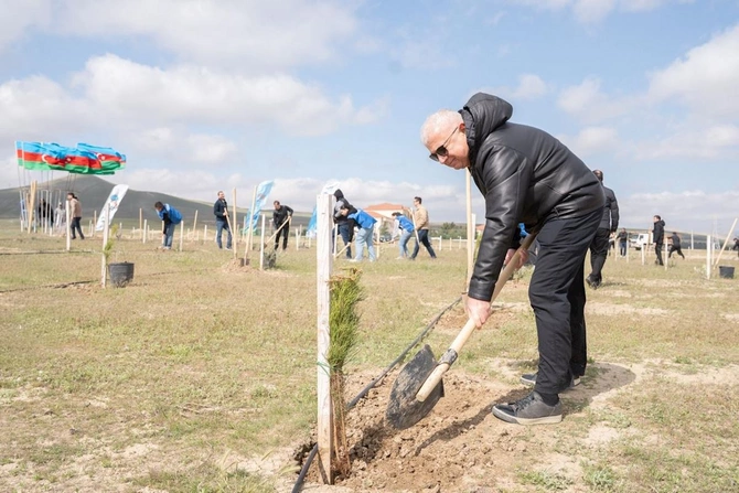 Nazir və palata sədri ağacəkmə aksiyasında iştirak etdi — FOTOLAR