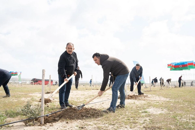 Nazir və palata sədri ağacəkmə aksiyasında iştirak etdi — FOTOLAR