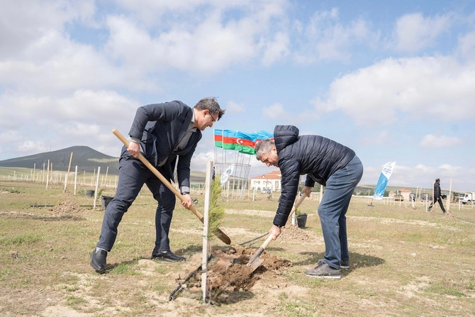 Nazir və palata sədri ağacəkmə aksiyasında iştirak etdi — FOTOLAR