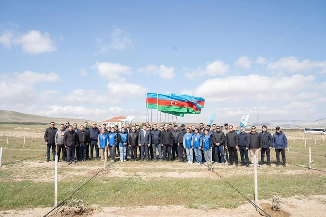 Nazir və palata sədri ağacəkmə aksiyasında iştirak etdi — FOTOLAR