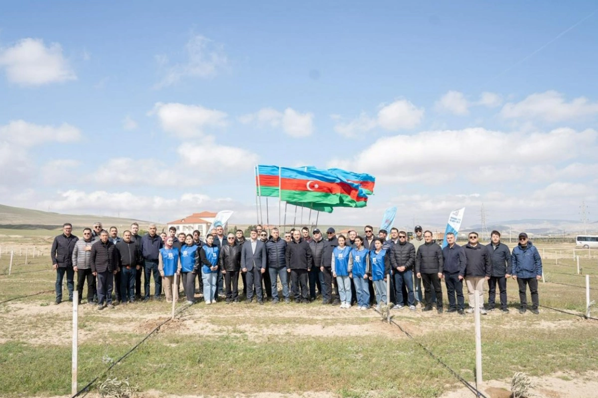 Nazir və palata sədri ağacəkmə aksiyasında iştirak etdi — FOTOLAR