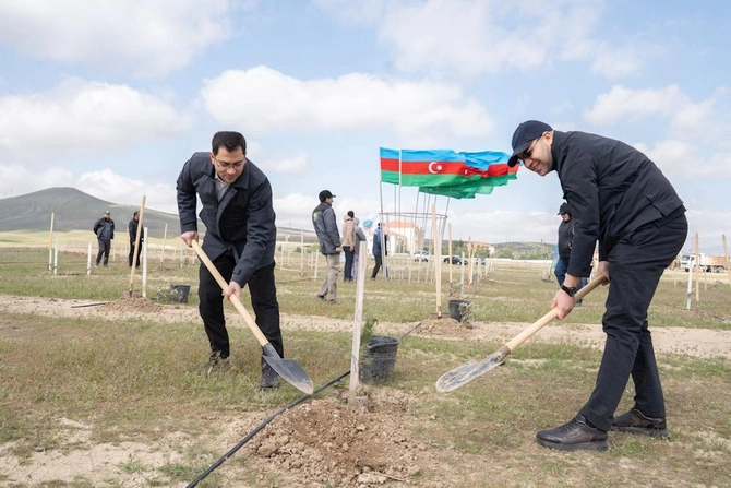 Nazir və palata sədri ağacəkmə aksiyasında iştirak etdi — FOTOLAR