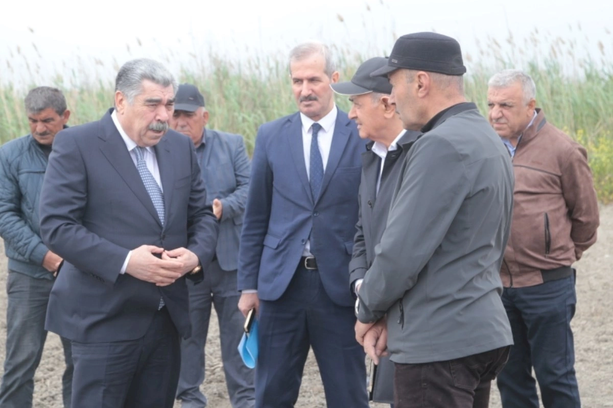 Salyan RİH başçısı pambıq sahələrində: Fermerlərlə görüş keçirilib — FOTOLAR