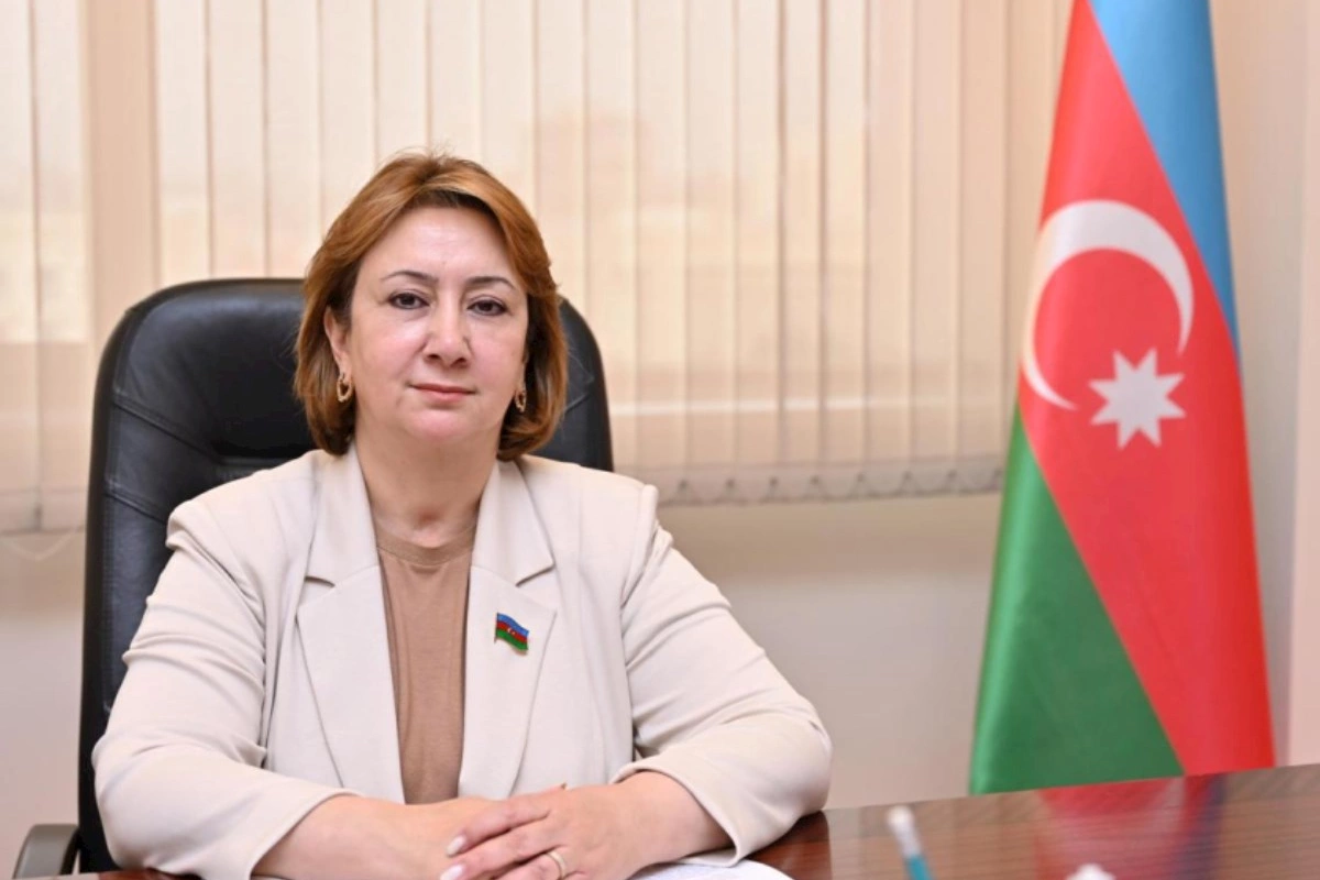Təhsildə Mədəniyyət Konsepsiyası: Nədən başlamalı?