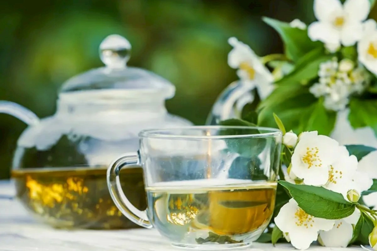 Ağ çay nədir və nəyə faydalıdır?