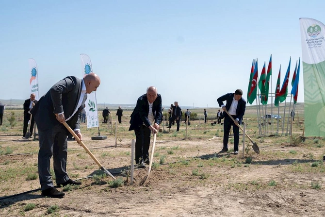 Ekologiya və Təbii Sərvətlər Nazirliyinin kollektivi Ulu Öndər Heydər Əliyevin əziz xatirəsini yad etdi — FOTOLAR