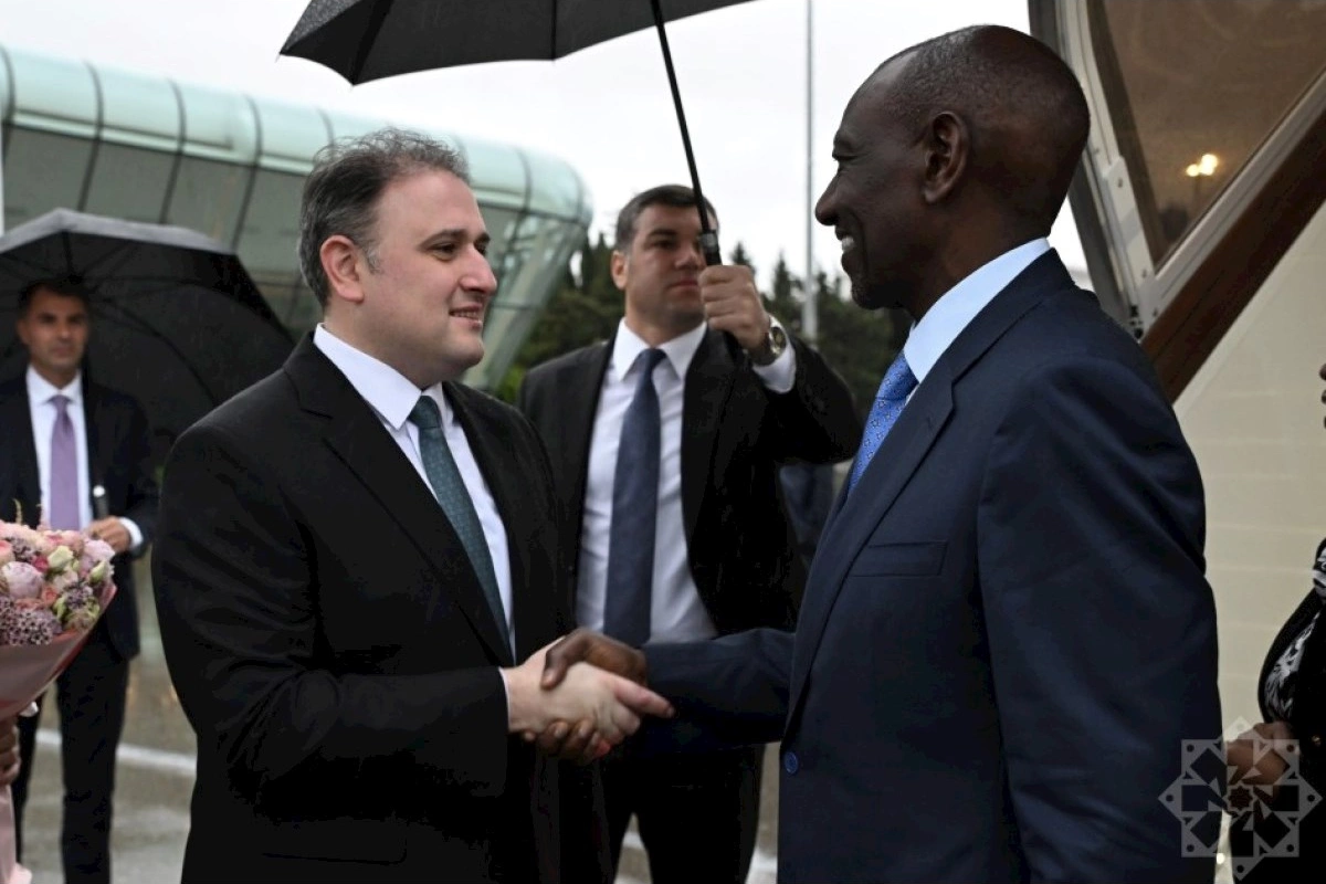 Zimbabvenin Vitse-prezidenti Azərbaycana səfərə gəlib