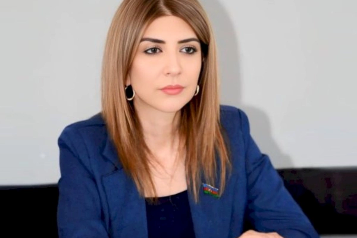 “Uşaqpulu tənbəllik yarada bilər”— Deputatın açıqlaması gündəm oldu