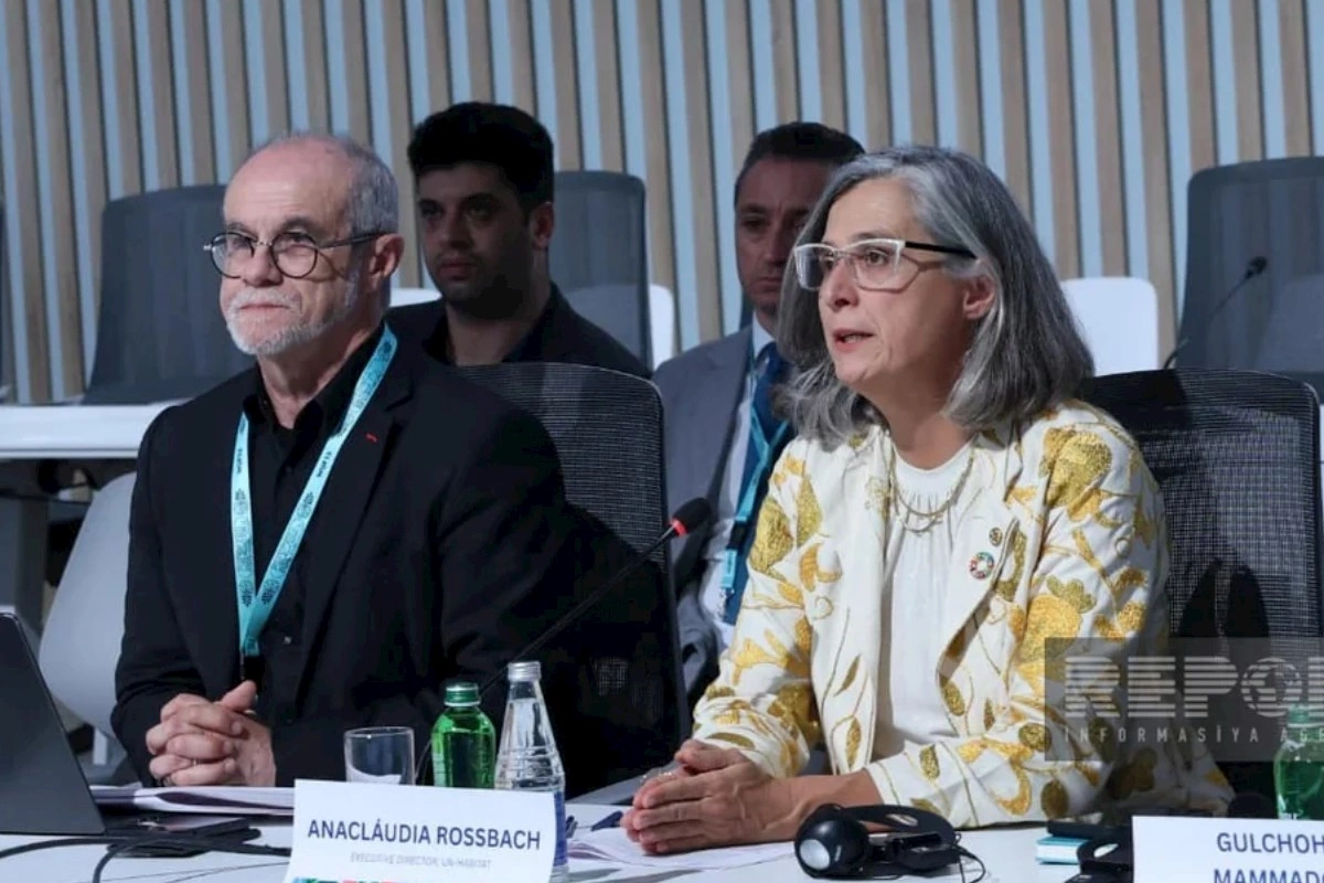 UN-Habitat rəhbəri: Qlobal mənzil böhranı bərabər şəkildə paylanmayıb