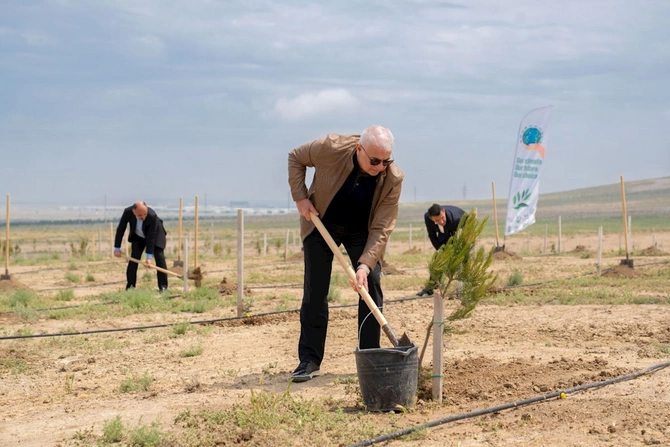 ETSN kollektivi peşə bayramını qeyd etdi — FOTOLAR