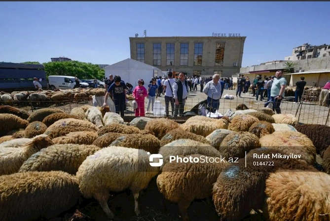 Bayram günündə qurbanlıq heyvanların satış və kəsimi — FOTOREPORTAJ