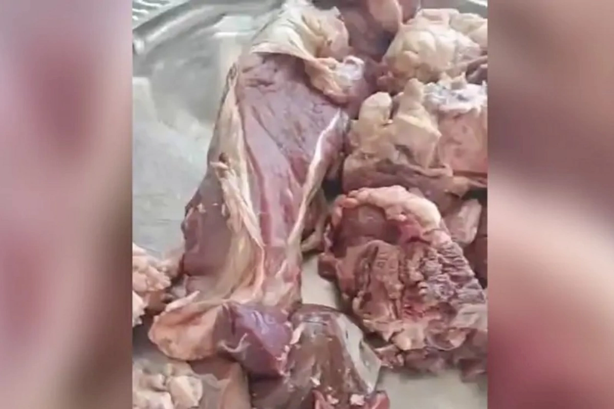 Şəhid ailələrinə qurdlamış qurban payı göndərildi — Cəlilabad RİH “günah qəssabdadır” dedi