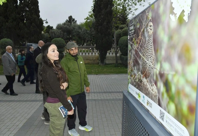 Leyla Əliyeva sərgi açılışında — FOTOLAR Leyla Əliyeva sərgi açılışında — FOTOLAR