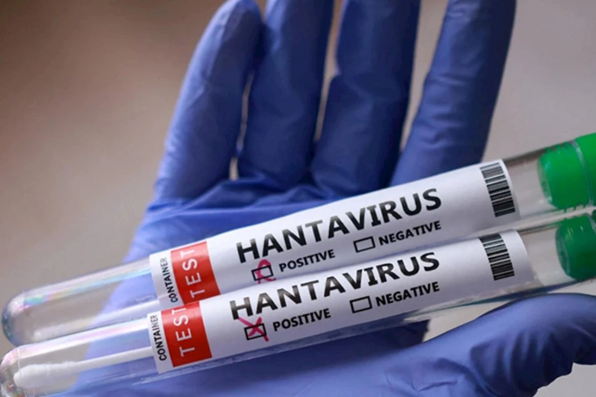 Hantavirus bu yerlərə də yayıldı