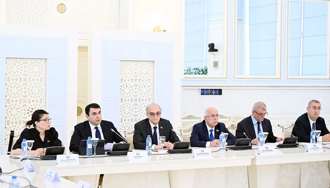 Adil Kərimli: Kitabxana sistemində peşəkarlığı sual altında olan şəxslər də fəaliyyət göstərir