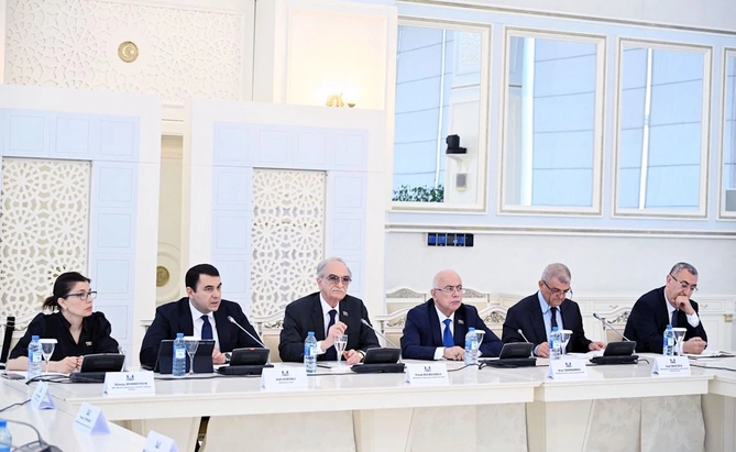 Milli Məclisdə Kitabxana sisteminin mövcud vəziyyəti və inkişaf perspektivləri mövzusunda ictimai müzakirə keçirildi — FOTOLAR