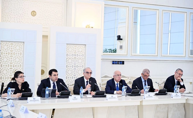 Adil Kərimli: Kitabxana sistemində peşəkarlığı sual altında olan şəxslər də fəaliyyət göstərir