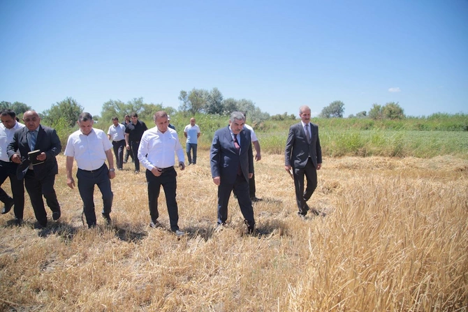 Rüstəm Xəlilov pambıq sahələrini yoxladı, taxıl biçini prosesində iştirak etdi — FOTOLAR