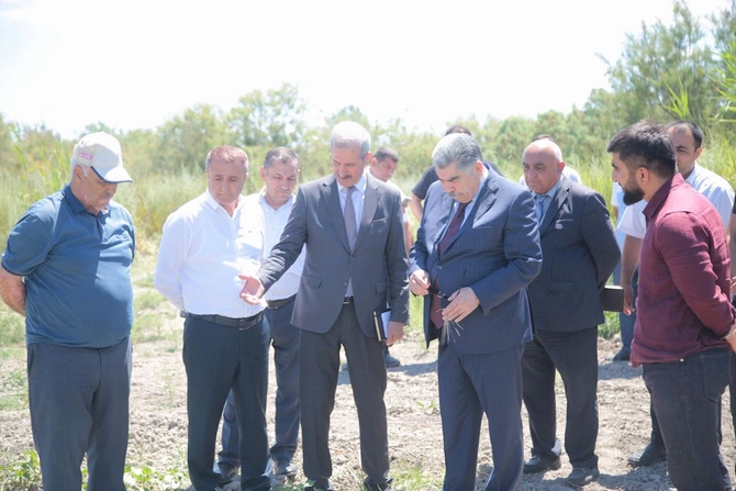 Rüstəm Xəlilov pambıq sahələrini yoxladı, taxıl biçini prosesində iştirak etdi — FOTOLAR