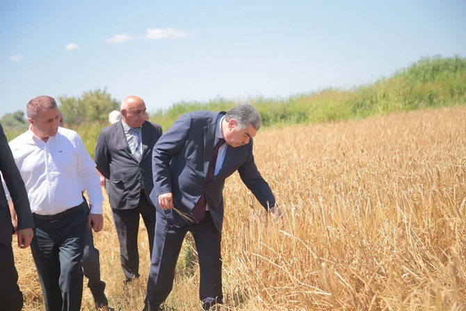 Rüstəm Xəlilov pambıq sahələrini yoxladı, taxıl biçini prosesində iştirak etdi — FOTOLAR