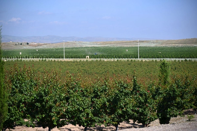 Əlaqələndirmə Qərargahının üzvlərinin Ağdərə və Xocalı rayonlarına səfəri başlayıb — FOTOLAR