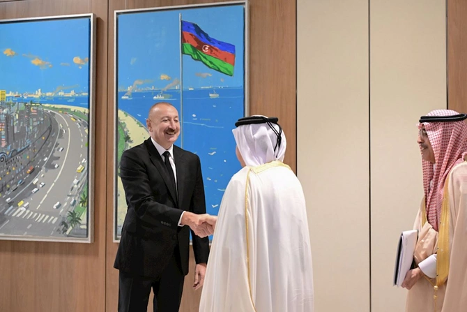 Prezident Ərəb Koordinasiya Qrupunun nümayəndələrini qəbul etdi — FOTOLAR