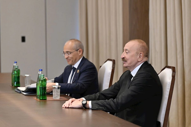 Prezident Ərəb Koordinasiya Qrupunun nümayəndələrini qəbul etdi — FOTOLAR