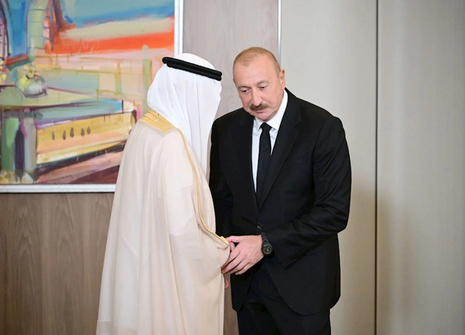 Prezident Ərəb Koordinasiya Qrupunun nümayəndələrini qəbul etdi — FOTOLAR