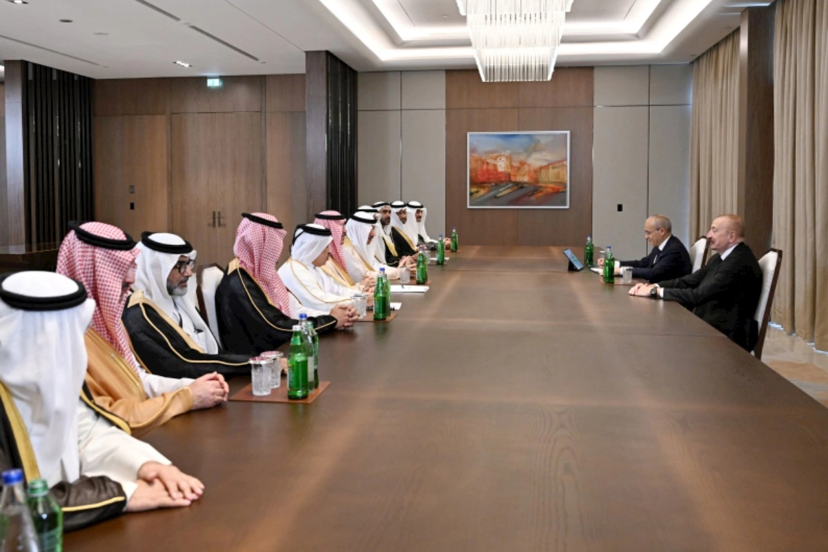 Prezident Ərəb Koordinasiya Qrupunun nümayəndələrini qəbul etdi — FOTOLAR