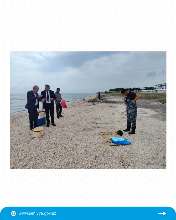 Bu çimərliklərə giriş qadağan edildi — FOTOLAR Bu çimərliklərə giriş qadağan edildi — FOTOLAR