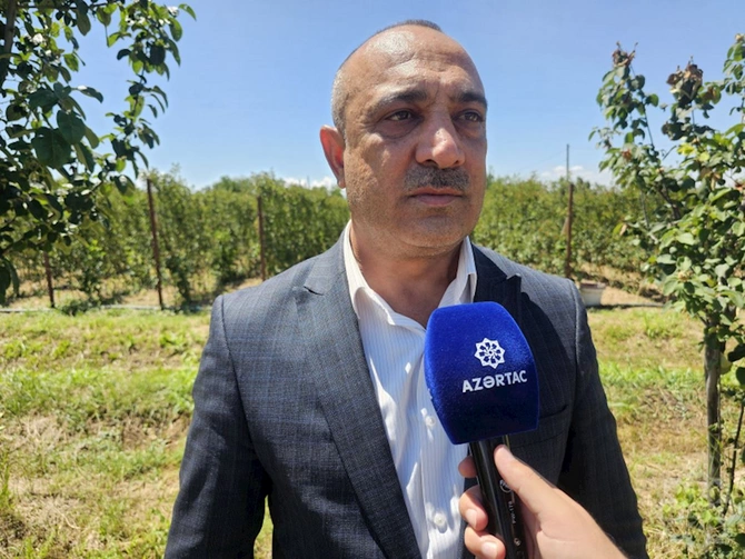 Naxçıvanda intensiv bağçılıq inkişaf etdirilir — dövlət dəstəyi və uğurlu fermer təcrübəsi (VİDEO/FOTOLAR) Naxçıvanda intensiv bağçılıq inkişaf etdirilir — dövlət dəstəyi və uğurlu fermer təcrübəsi (VİDEO/FOTOLAR)