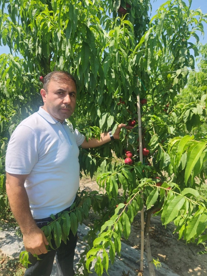 Dövlət proqramı qarşıdakı 5 il üçün yeni imkanlar açır — FOTOLAR Dövlət proqramı qarşıdakı 5 il üçün yeni imkanlar açır — FOTOLAR